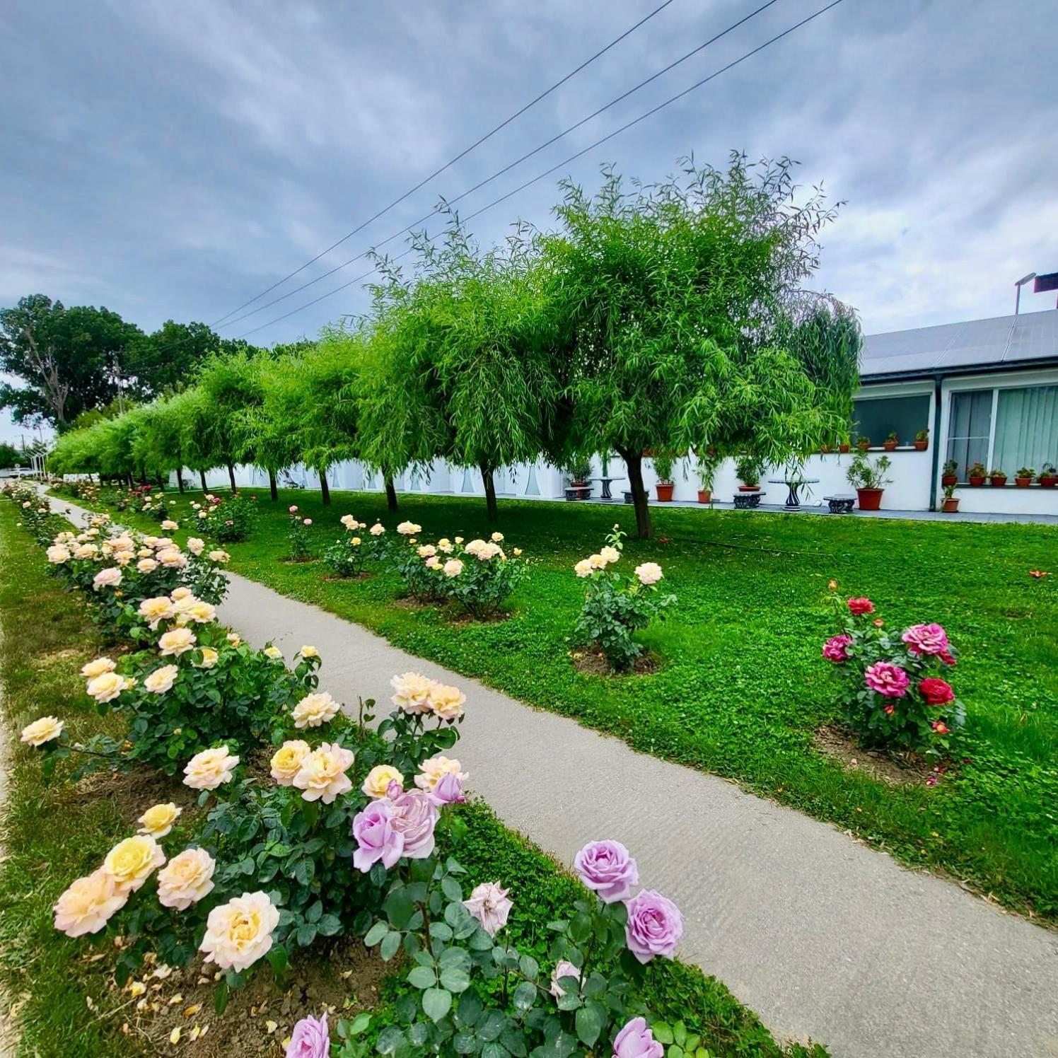 ホテル Royal Park Complex Bascov エクステリア 写真